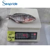 /product-detail/tilapia-fish-malaysia-export-to-malaysia-62010763281.html