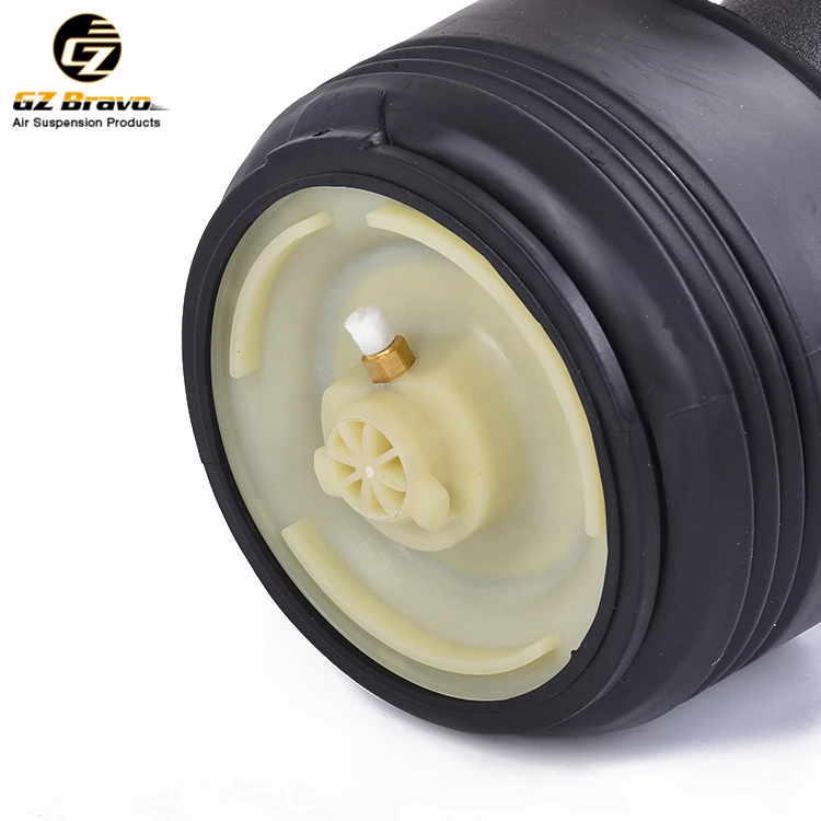 High Quality Rear Air Spring Suspension For Bmw X5 E70 X6 E71 E72 Oem