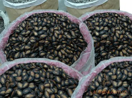 217036672_1766079343