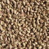 Grade A High Quality Pistachio Nuts Organic high quality nuts Salted and unsalted Pistachio Nuts