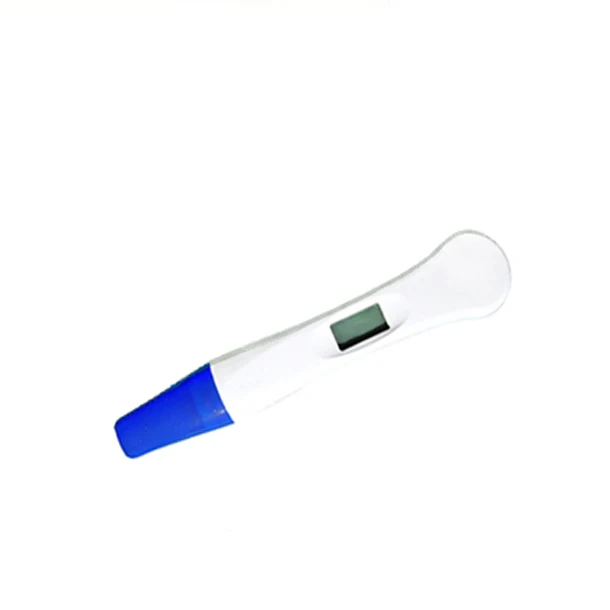 
Digital CE Certificated HCG Pregnancy Urine Test 