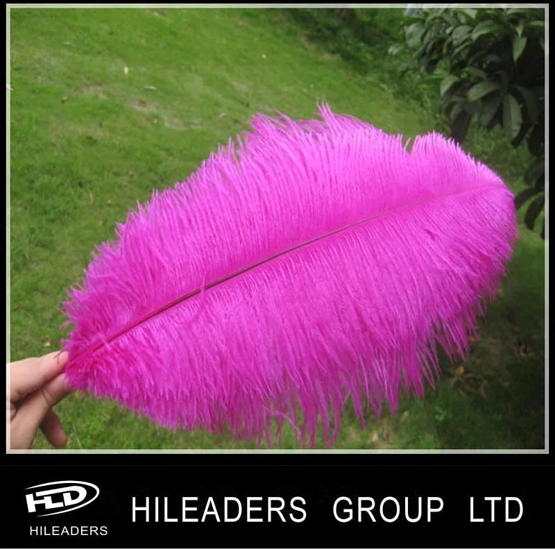 5055cm Big Ostrich Feather For Wedding Decoration Buy Ostrich