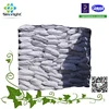 100% Fresh Native Corn/Maize Starch 2015