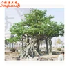 Stylized all kind of large outdoor artificial trees make life size artificial trees
