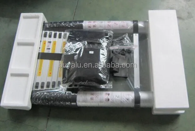 Telescopic Ladder Packing