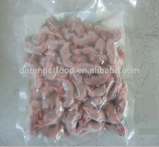 Frozen Feeder Mice Frozen Feeder Rats For Snake Lizard Food