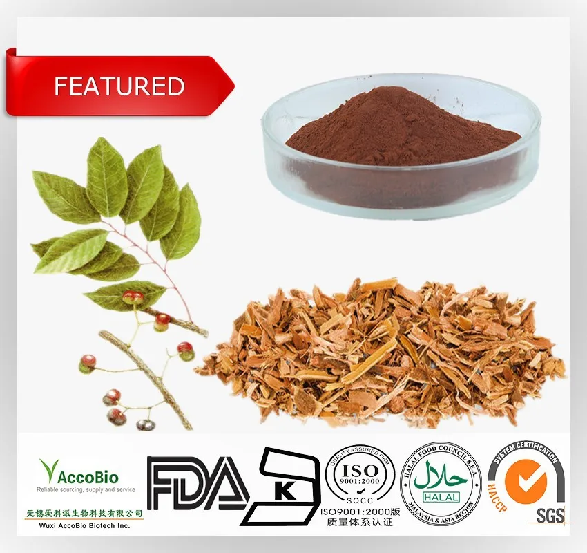 High Quality Prunus Africana Extract/pygeum Africanum Extract(total