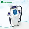 Fat Freezing Loss Weight Anti-cellulite Coolplas kryolipolyse Machine for Laser & Skin Care Centre