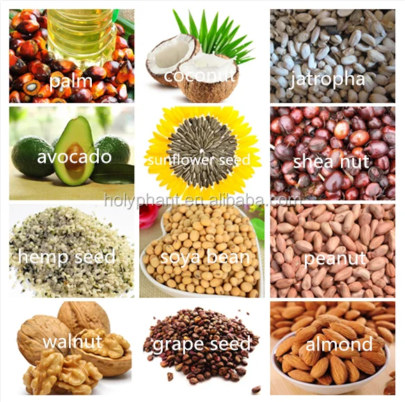 oil seeds 2.png