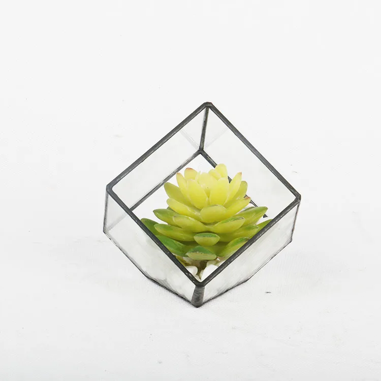 4 inch Mini Terrarium Geometric Glass Plant Pot Miniature Garden Succulents Ferns Kit Box