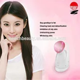 fical steamer 3(2)
