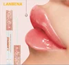 Private Label, High Pigments and Shimmer Lip Gloss long lasting waterproof make your logo lipgloss makeup, free samples