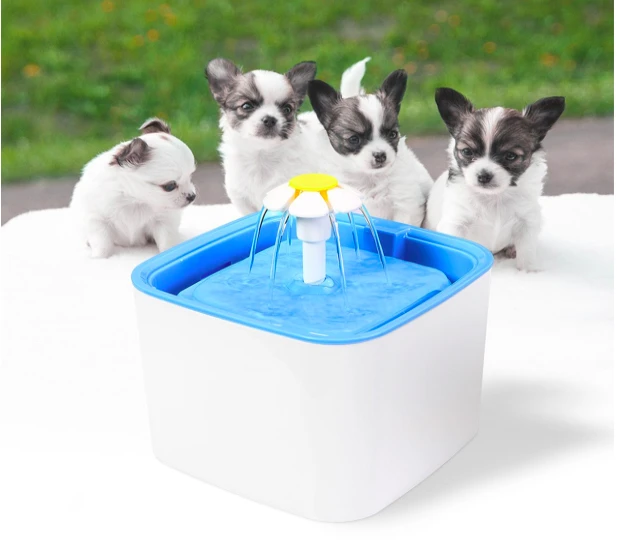 620 Gambar Hewan Minum Air HD