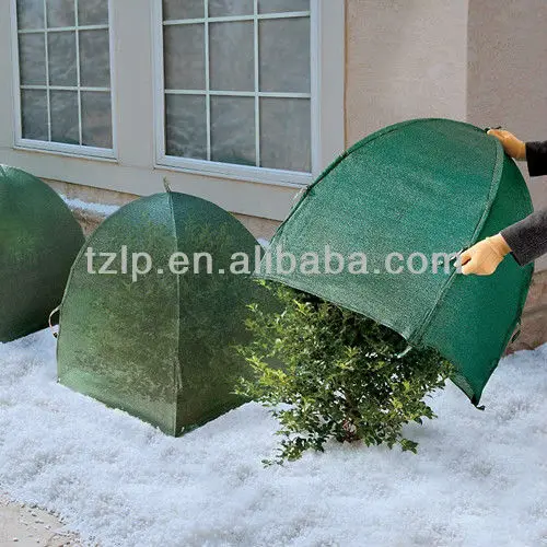 wintershrub-cover