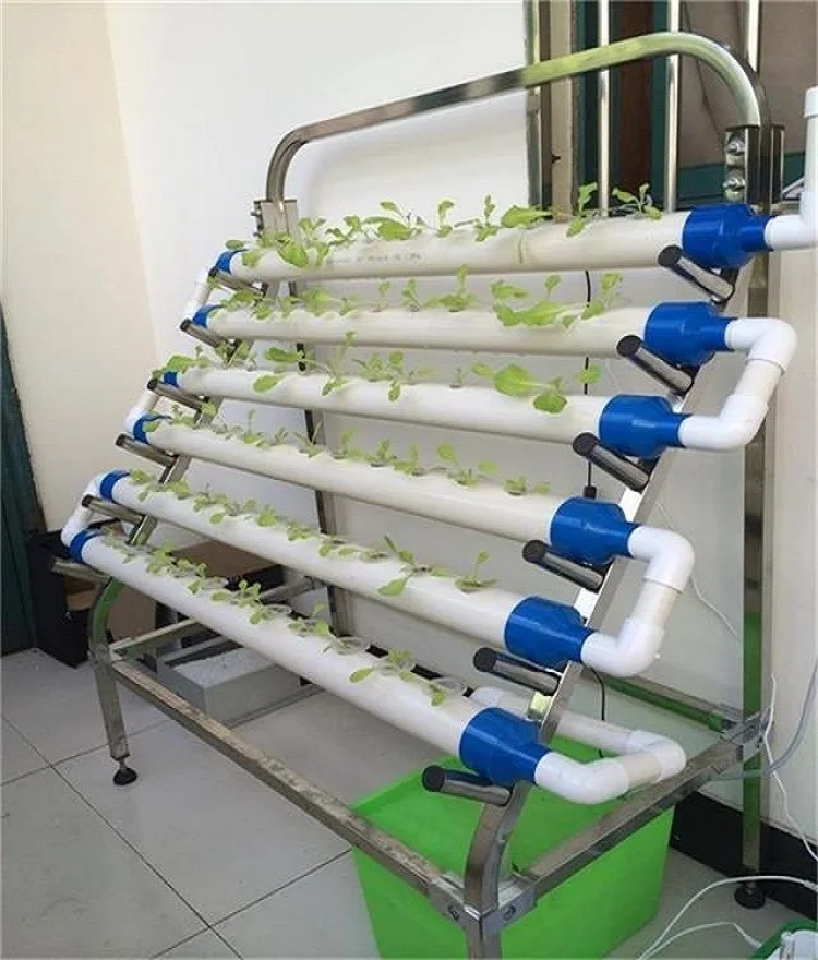 Complete Hydroponics Growing System For Vegetables Buy Commercial