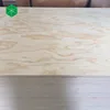 16mm pine core/combi/poplar core shutterply radiata pine plywood