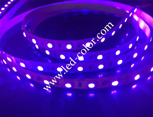 12v 24v 30led 60led120led Purple 3528 5050 LED Strip Light, Cuttable Blacklight/ UV LED Strip Light wavelength 385nm~405nm