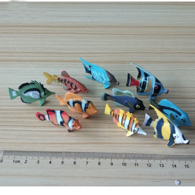 78 Gambar Hewan Laut Mimi HD Terbaik