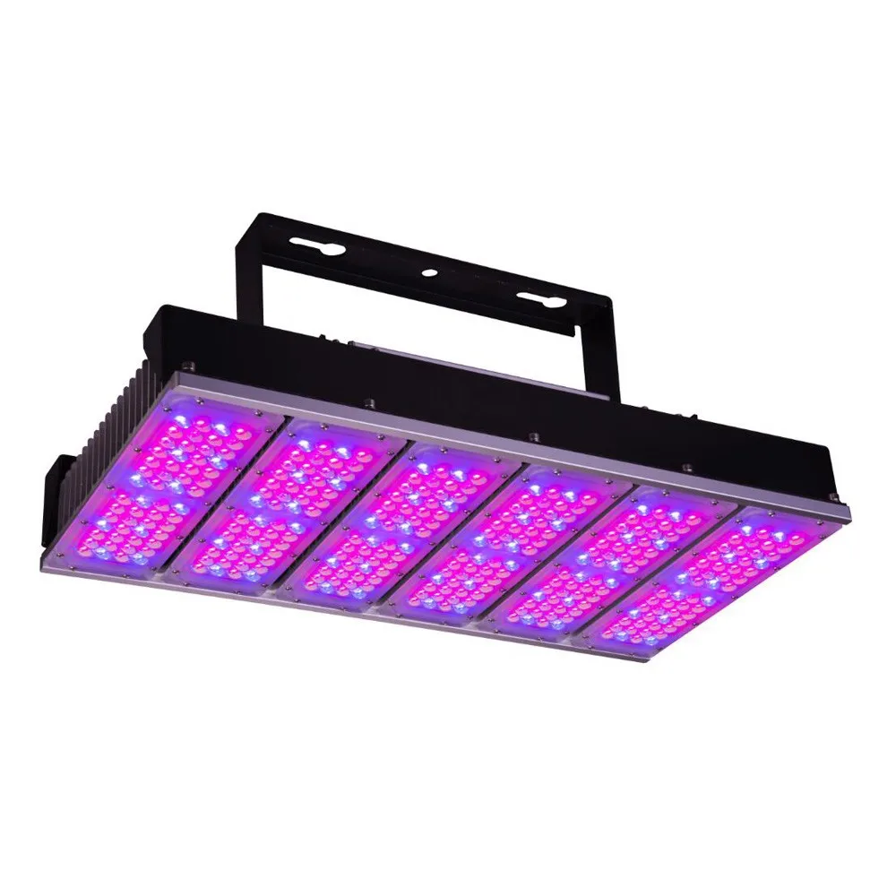 Best 5 Years Warranty Diy Custom Modular 600w Led Grow ...