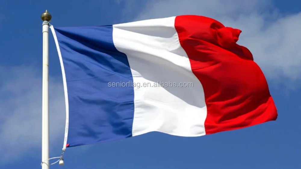 france+flag