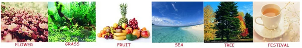 Luxury Scented Soy Wax Candle in Glass Jar and Highend Cardboard Box