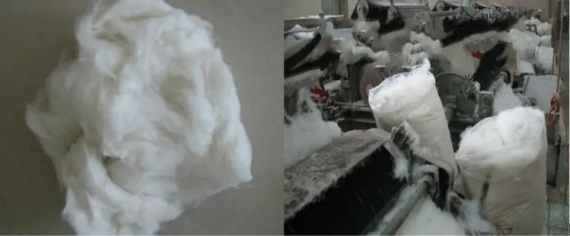cashmere fiber production2