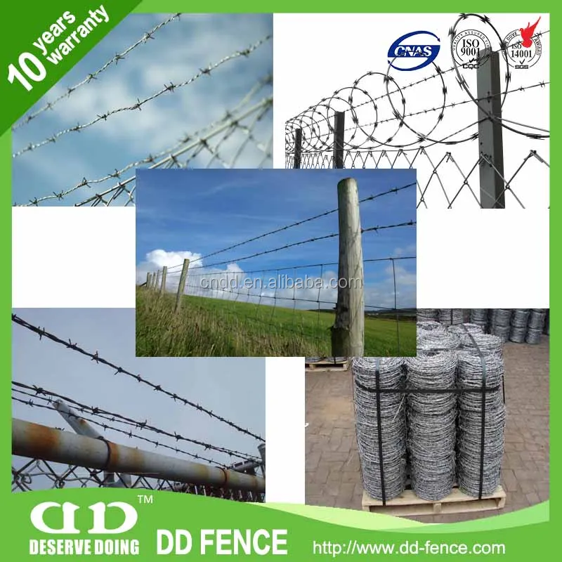 2 Strand 4 Point Barbed Wire Astm A121, 2 Strand 4 Point Barbed Wire ...
