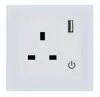 UK Standard ZigBee App Control Smart Wall Socket with USB Ports for Smart Home