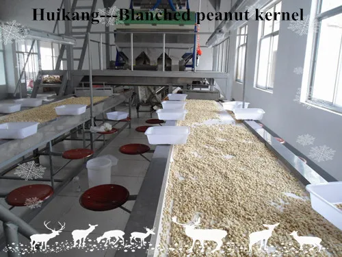 Blanched peanut kernel 1.jpg