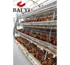 high quality chicken farm Poultry farm equipment/chicken cage plans