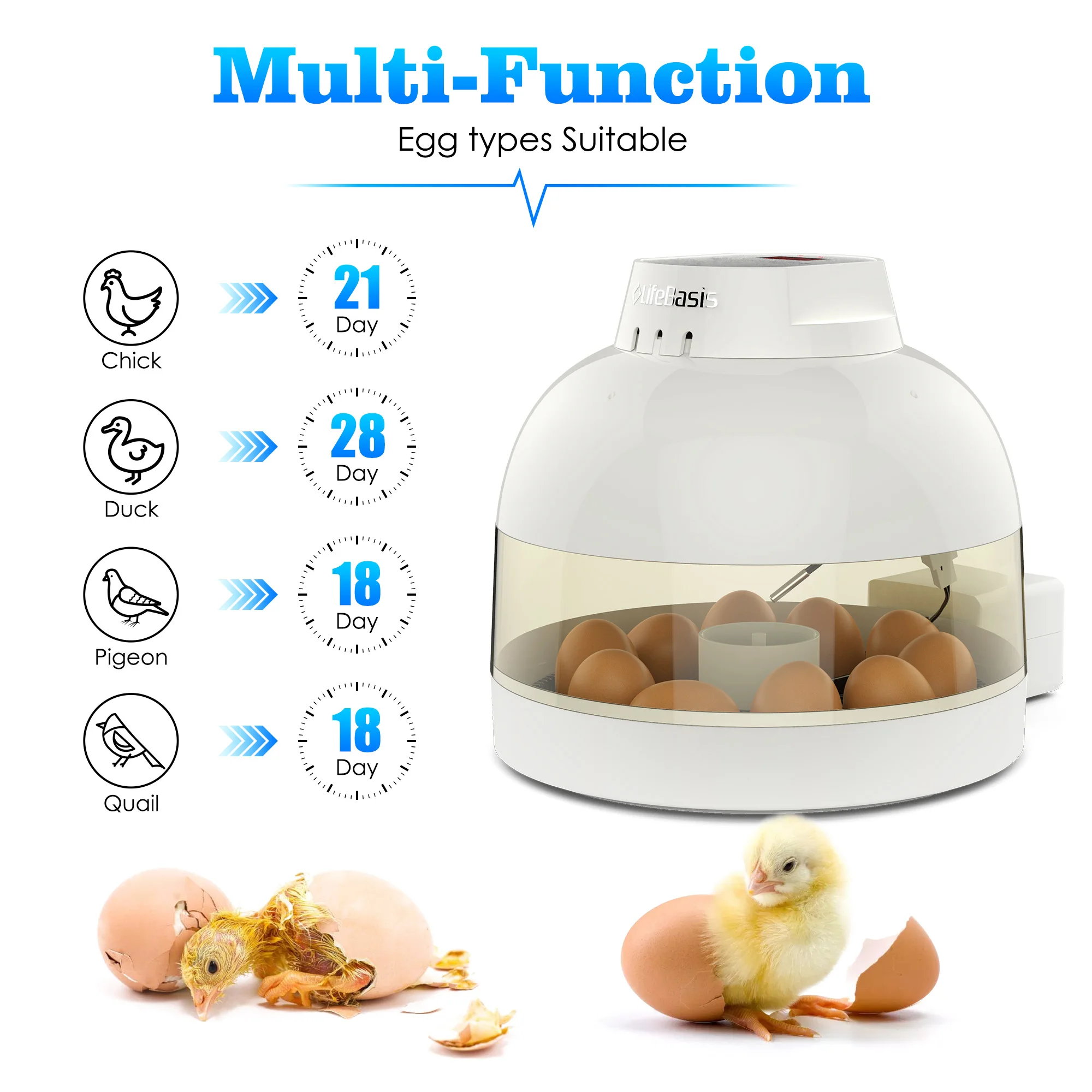 incubator chicken egg