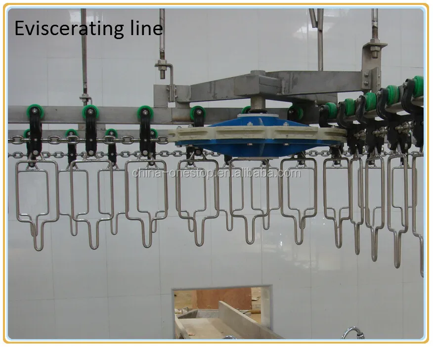 High quality complete hare slaughtering line