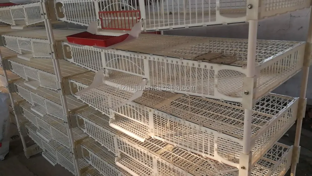 Pvc Plastic Quail Cage For Quail Farm Equipment Hjqc400b Buy Plastic