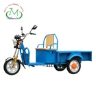 China Supplier self balancing smart cargo tricycle electric motorcycle