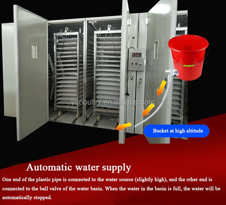 egg incubator  (7).jpg