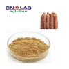 Best price korean red ginseng powder supplier from China
