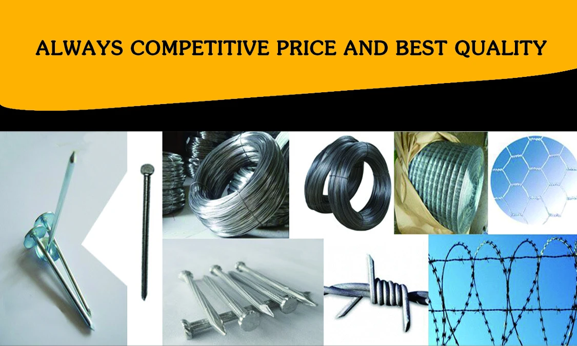 Flat Head Galvanized Concrete Steel Nails Buy Flat Head