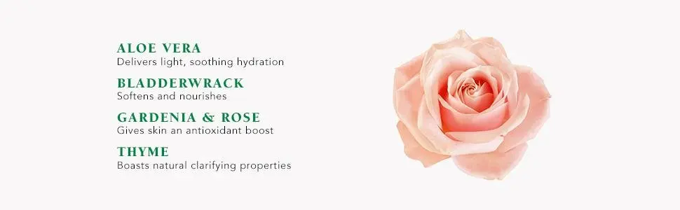 green tea and rose water for skin