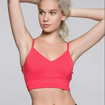 cupless sports bra