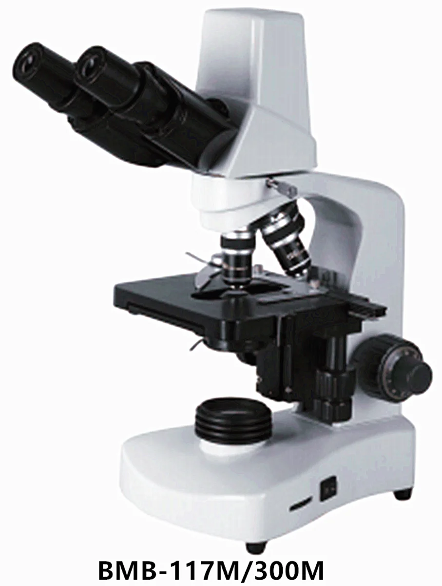 Biobase Bmi100 Inverted Biological Microscope Buy Microscope,Stereo