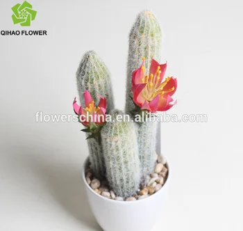 35cm New Design Artificial Office Desk Decoration Cactus Buy