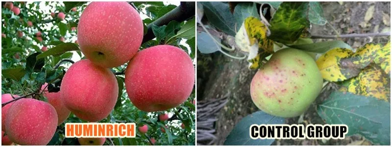 Humic Acid +Liquid Npk Fertilizer.jpg