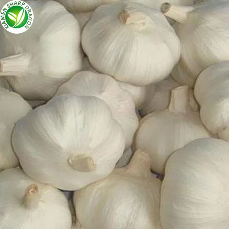 Wholesale Price Fresh Garlic In China Buy Garlic Price In China