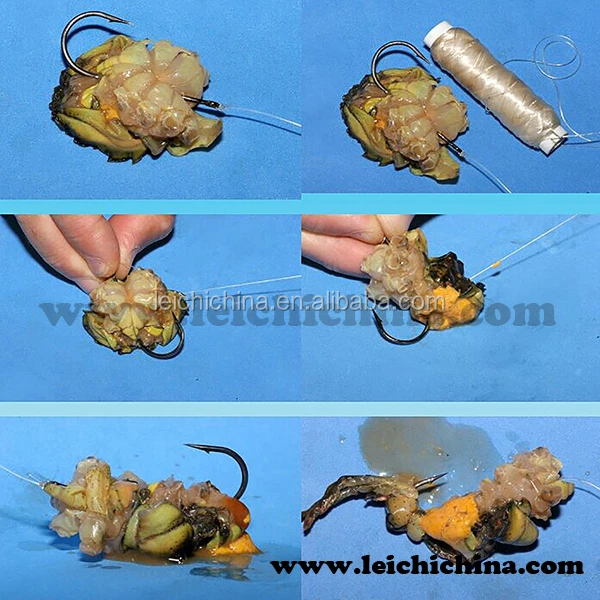 best bait for sea fishing