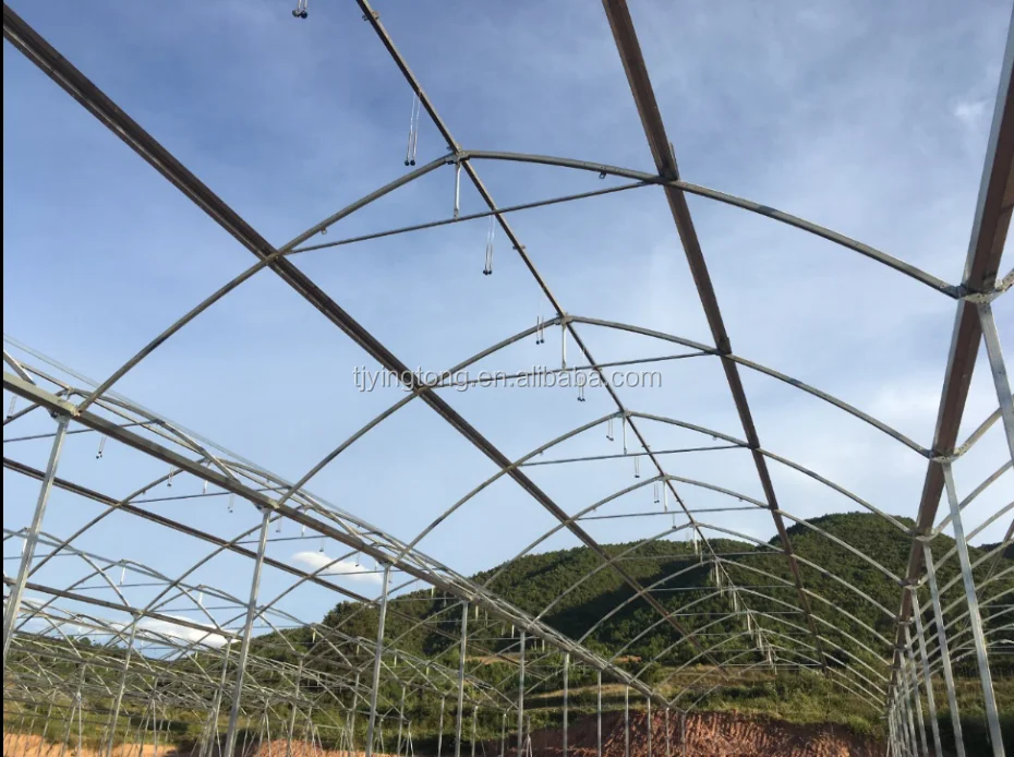 Hoop House Agricultural Greenhouse Durable Galvanized Steel Pipe Structure Buy Hoop House