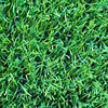 Competitive price customized artificial grass & sports flooring artificial grass for landscape