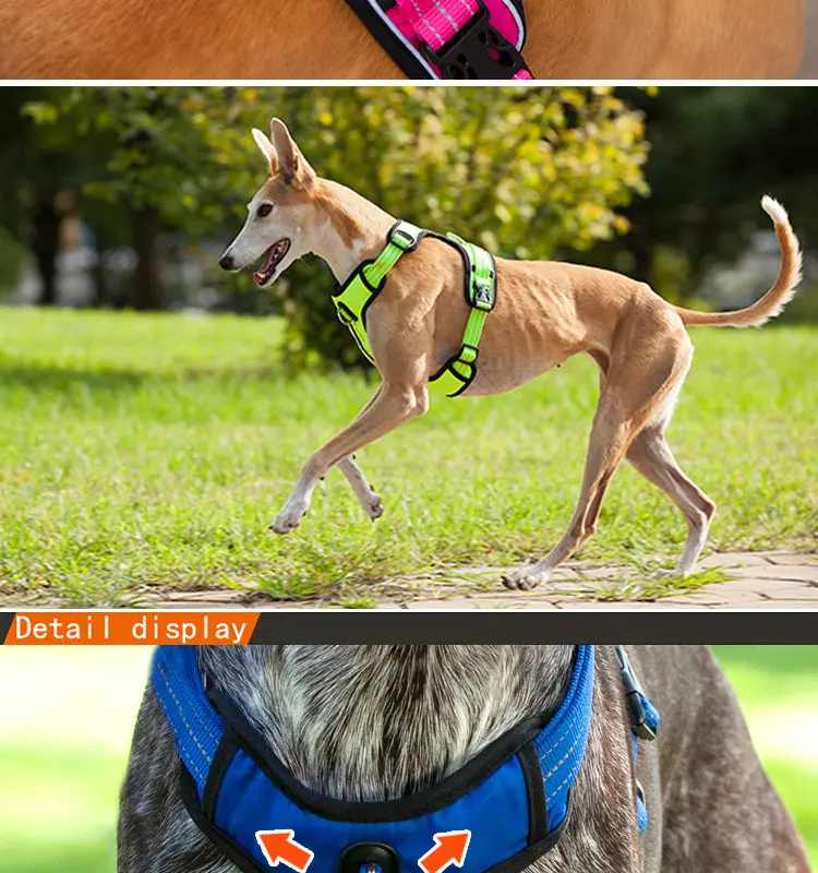 Dog Harness Wholesale Nylon Dog Harness No Pull For Dog Buy Pet Products Dog Harness Dog