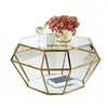 Modern Gold Stainless Steel Leg tempered glass top Luxury Coffee tea table