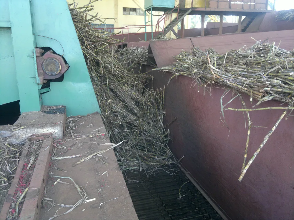 sugarcane shredder