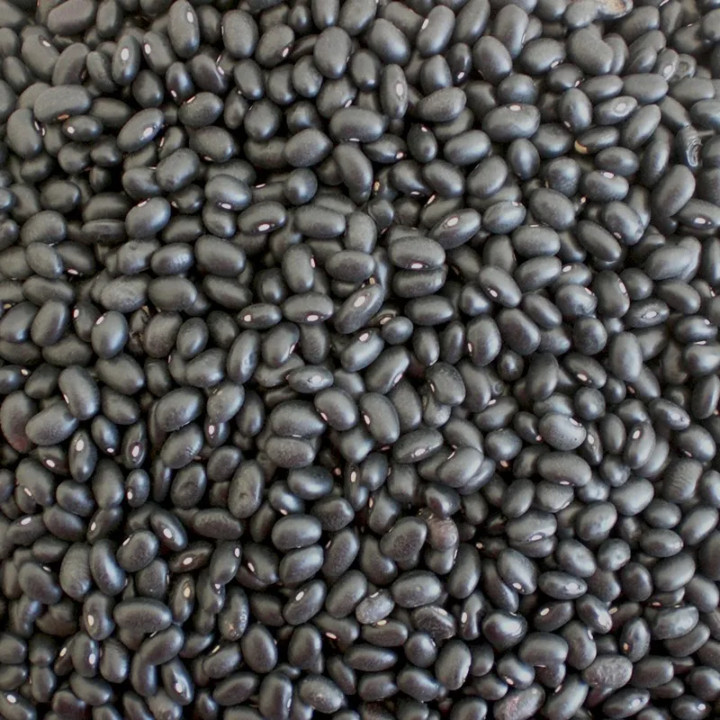 Chinese Dried Black Kidney Beans 50kg - Buy Kidney Bean,Black Kidney